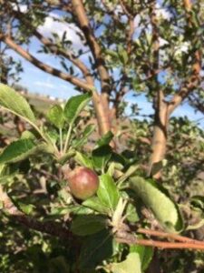 Getting Ready for Summer with St. Johns Spring Image